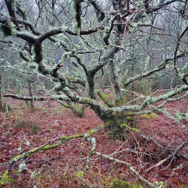 Walking on the beach at Terschelling